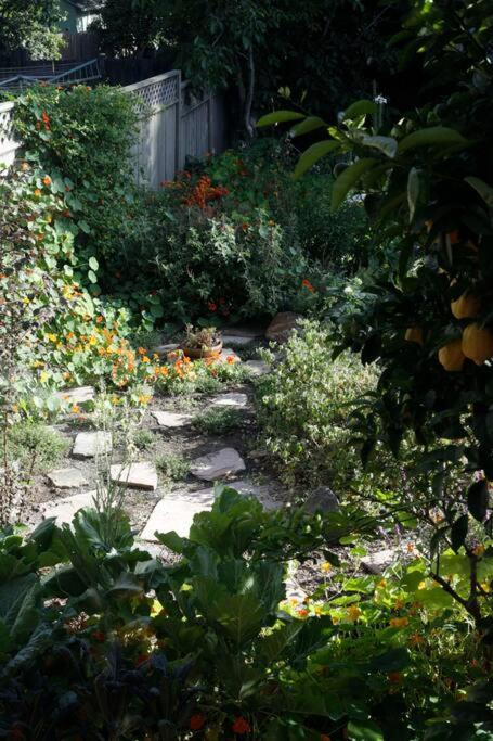 Beautiful, Historic Family Home Near Lake Merritt Oakland Exteriér fotografie