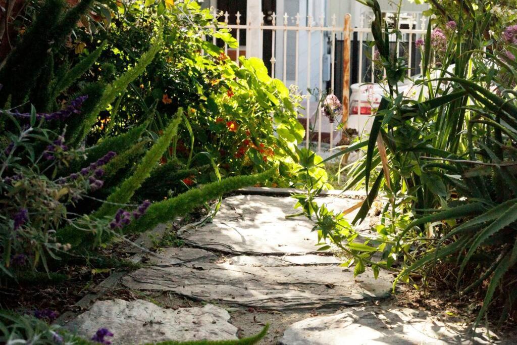 Beautiful, Historic Family Home Near Lake Merritt Oakland Exteriér fotografie