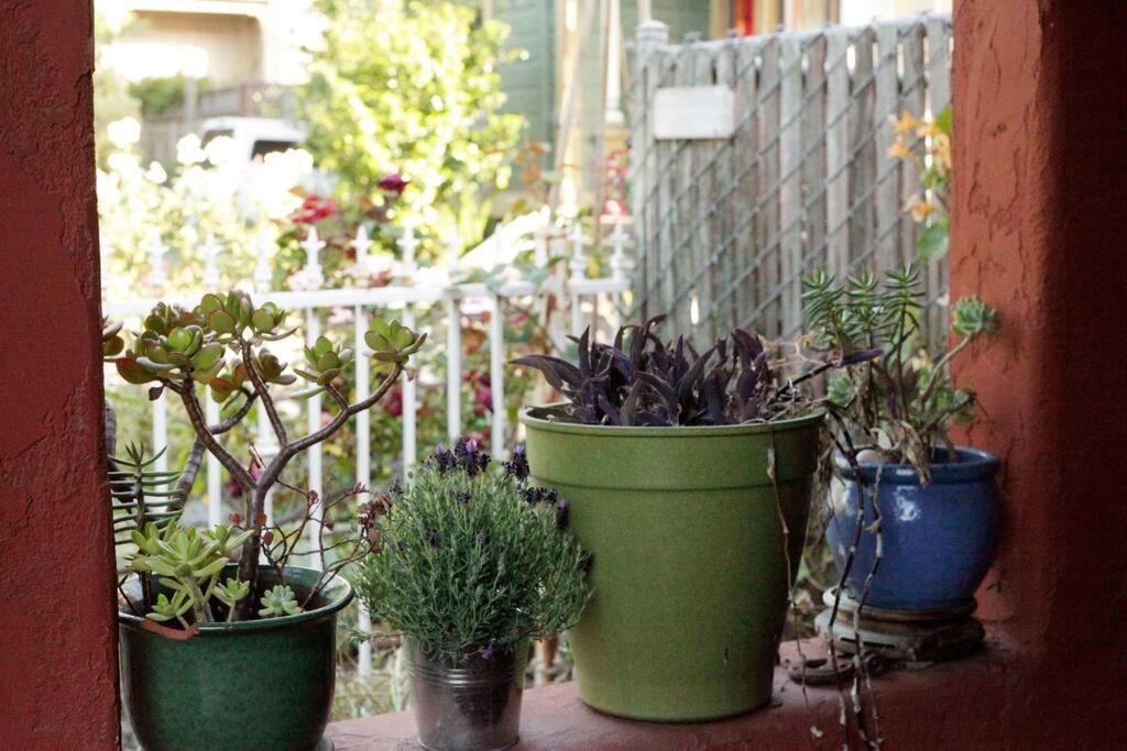 Beautiful, Historic Family Home Near Lake Merritt Oakland Exteriér fotografie